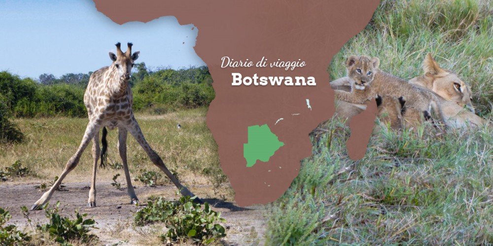 Diario di viaggio Botswana.