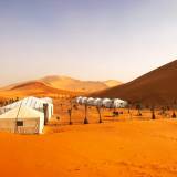 Campo tendato nel deserto