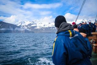 Islanda escursione avvistamento balene