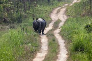 Parco Nazionale di Chitwan