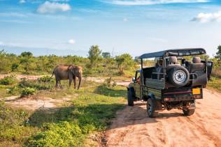 Jeep Safari nel Parco Nazionale di Chitwan