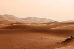 deserto sahara-dune