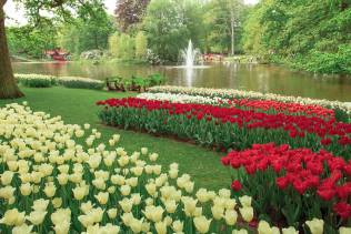 Keukenhof