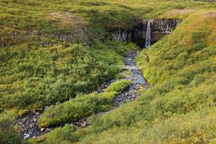 trekking-svartifoss-islanda