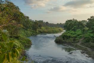 Parco Nazionale di Chitwan