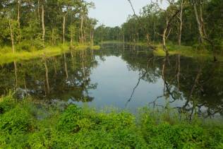 Parco Nazionale di Chitwan