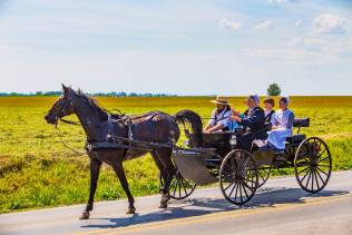 Comunità Amish