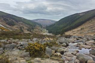 Wicklow Mountains.
