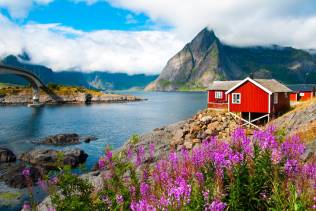 Il meglio della Norvegia: Capo Nord, Lofoten, postale Hurtigruten e Bergen
