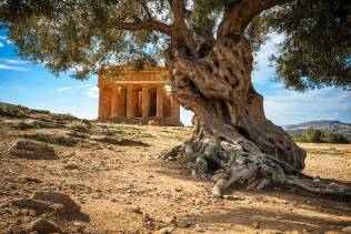 Tour Sicilia: mare e cultura.