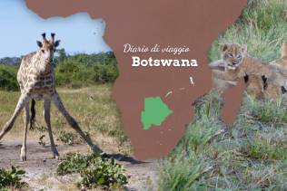 Diario di viaggio Botswana.