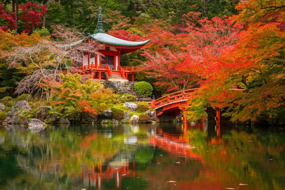 Giappone - giardino giapponese a Kyoto