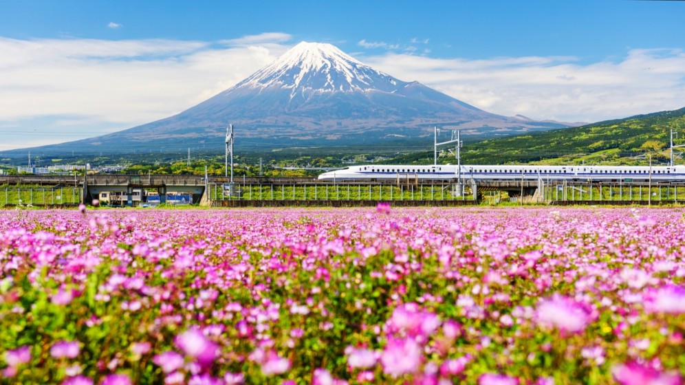 Viaggio di gruppo in Giappone - Monte Fuji
