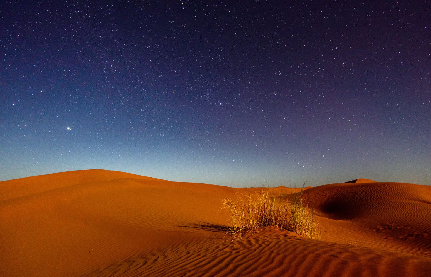 escursioni-ed-esperienze-nel-deserto